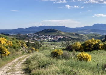 Casa da Trigueira: Um cantinho no Douro à sua espera