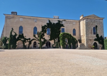 Alentejo: Fitapreta, uma história de persistência, tradição e paixão pelo vinho