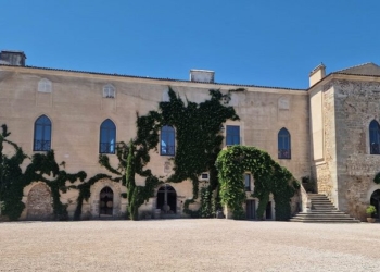Alentejo: Fitapreta, uma história de persistência, tradição e paixão pelo vinho