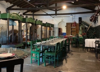 Alentejo: No Sem-Fim a gastronomia é complementada com um museu e galeria de arte