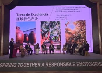 Alentejo destaca-se no enoturismo internacional ao receber o GWTO Global Summit 2026