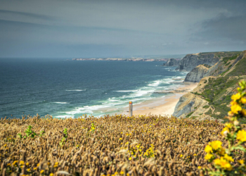 Região do Algarve tem 65 unidades turística distinguidas com o Green Key 2025
