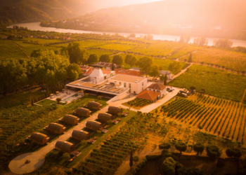 Quinta da Pacheca oferece experiências autênticas da vindima com lagarada tradicional e provas de vinhos
