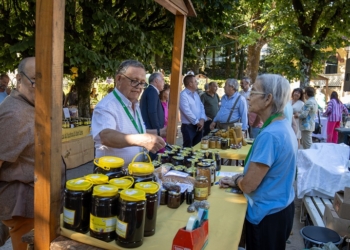 Luso tem animação cultural até final de setembro