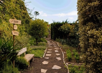 Savoy Signature reforça estratégia ESG sob o mote ‘Hosting the Future Together’