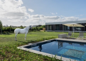 Lusitano Garden Villas: tradição equestre e turismo unem-se em nova unidade nos Açores