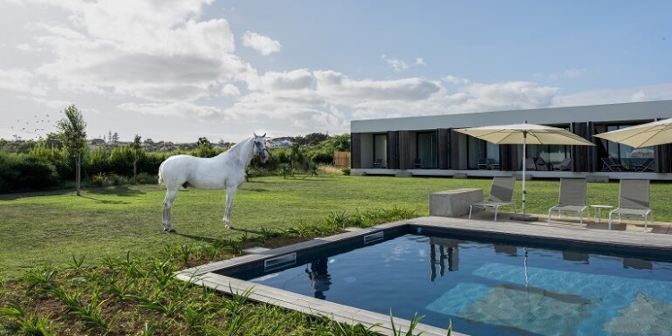 Lusitano Garden Villas: tradição equestre e turismo unem-se em nova unidade nos Açores