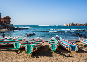 Soltrópico lança operação do Senegal para o próximo verão