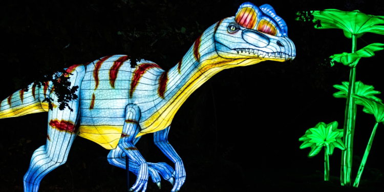 Luzes Selvagens regressam ao Zoo Santo Inácio neste sábado