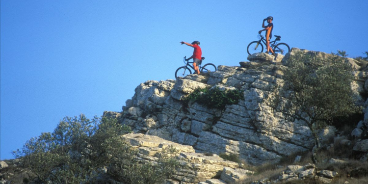 Turismo Centro de Portugal lança nova versão do Observatório do Turismo Sustentável