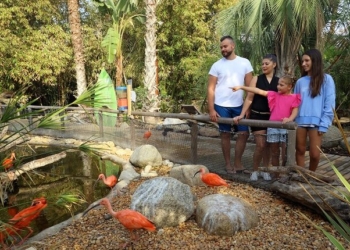 Algarve: Mais do que diversão, o Zoomarine afirma-se como laboratório vivo da conservação da natureza