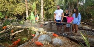 Algarve: Mais do que diversão, o Zoomarine afirma-se como laboratório vivo da conservação da natureza