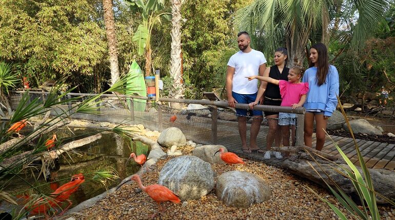 Algarve: Mais do que diversão, o Zoomarine afirma-se como laboratório vivo da conservação da natureza