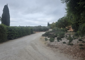 Algarve: Um roteiro de sabores na casa do Azeite Monterosa