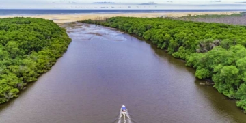 Lusanova lança dois produtos inéditos dedicados ao estado brasileiro do Piauí