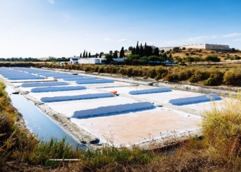 Algarve: Salmarim preserva a tradição da flor de sal artesanal em Castro Marim