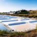 Algarve: Salmarim preserva a tradição da flor de sal artesanal em Castro Marim