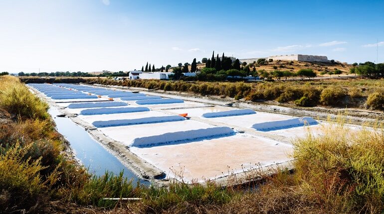 Algarve: Salmarim preserva a tradição da flor de sal artesanal em Castro Marim