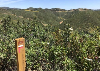 Algarve: Os caminhos e festivais que dinamizam o interior