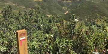 Algarve: Os caminhos e festivais que dinamizam o interior