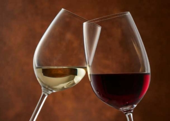 EHT Porto promove formação dedicada ao Património Vínico Nacional