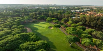 Details reforça estratégia de sustentabilidade com certificação EcoVadis