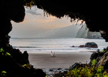 Madeira. É tudo o que apetece.