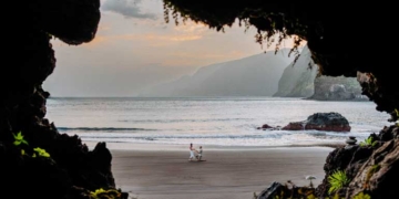 Madeira. É tudo o que apetece.