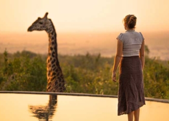 Lusanova lança campanha de venda antecipada para safaris com descontos até 300 euros