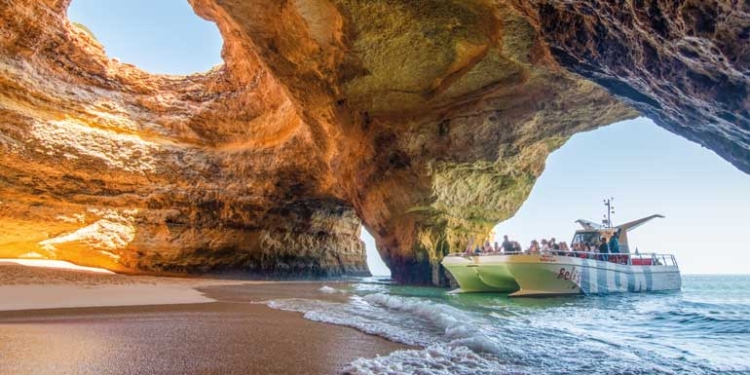 AlgarExperience: 2026 traz novidades