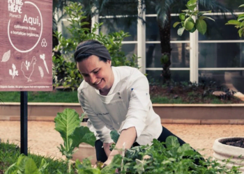 Accor aposta em hortas urbanas nos seus hotéis em todo o mundo