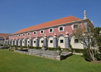 Vinho de Carcavelos: O sabor da história nos tempos de hoje