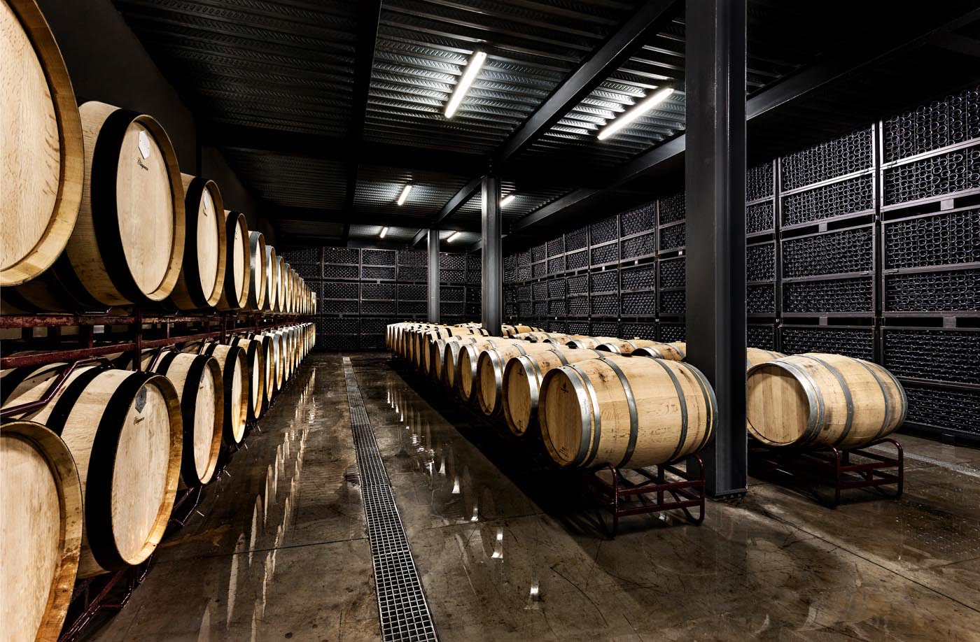 Adega Ribafreixo Wines