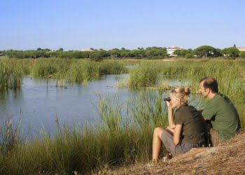 Região de Turismo do Algarve participa na Bienal de Natureza