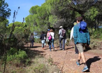 Algarve cresce acima da média nacional