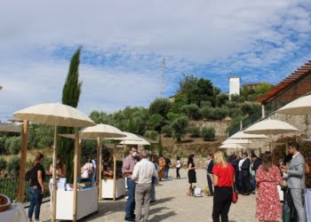 Sete municípios unidos para afirmar o Baixo Tâmega como destino enoturístico obrigatório