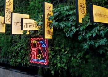 Bindopor cresce na área da Restauração