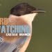 Programa “Birdwatching Castelo Branco” promove turismo de natureza