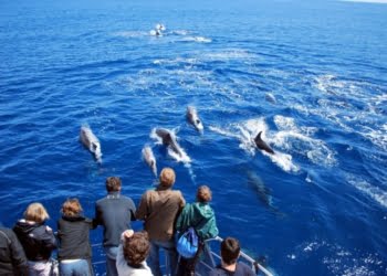 A não perder… Futurismo Azores Adventures