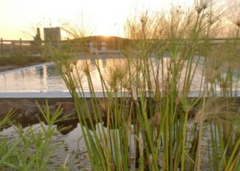 Horta da Quintã: Uma fuga rural no Alentejo