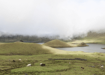 Açores vencem Prémio Nacional de Turismo Sustentável