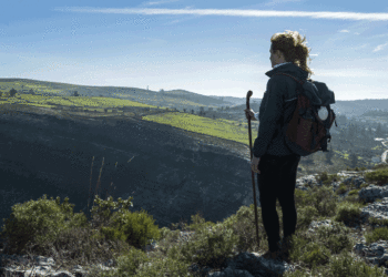 INE: Centro, Norte e Algarve foram os três principais destinos internos em 2020