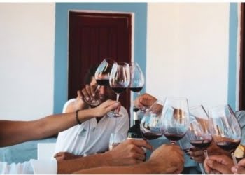 Programa de Vindimas da Casa Relvas decorre entre os dias 20 de agosto e 20 de setembro