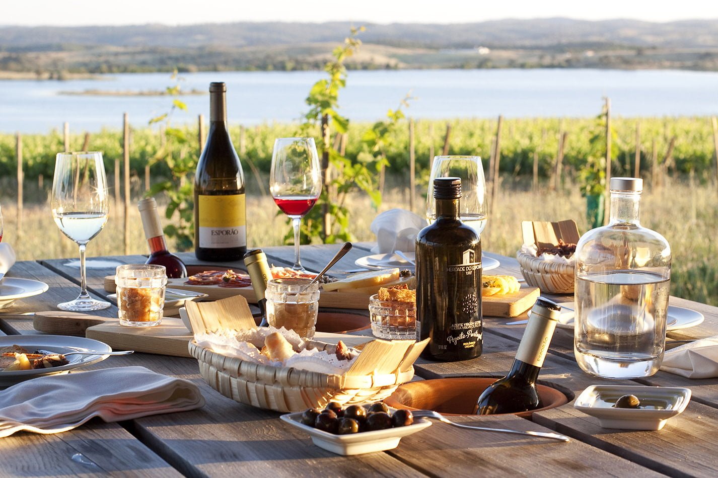 Cidade Europeia do VInho 2015 (16)