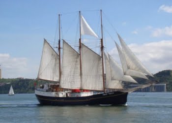 Veltagus: Experiências marítimas que excedem expectativas