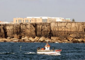 Novo diretor da ESTM do Politécnico de Leiria anuncia doutoramento na área do Turismo Sustentável