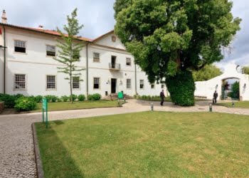 Escola de Hotelaria e Turismo de Coimbra faz almoço de homenagem ao Chefe Cozinheiro do Ano 2020