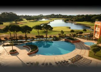 Grupo Onyria faz reestruturação dos seus negócios