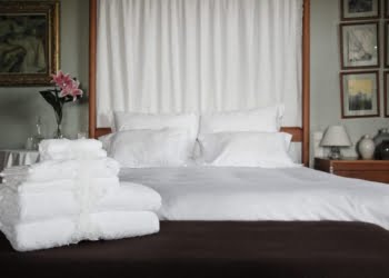 Hotelar: o foco é a satisfação do cliente