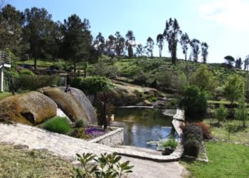 Quinta Lagarça 57: Tranquilidade junto à Serra da Estrela
